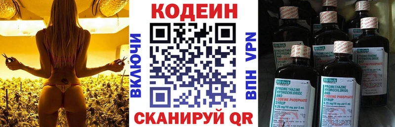 Codein Purple Drank  сайты даркнета формула  Лесной 